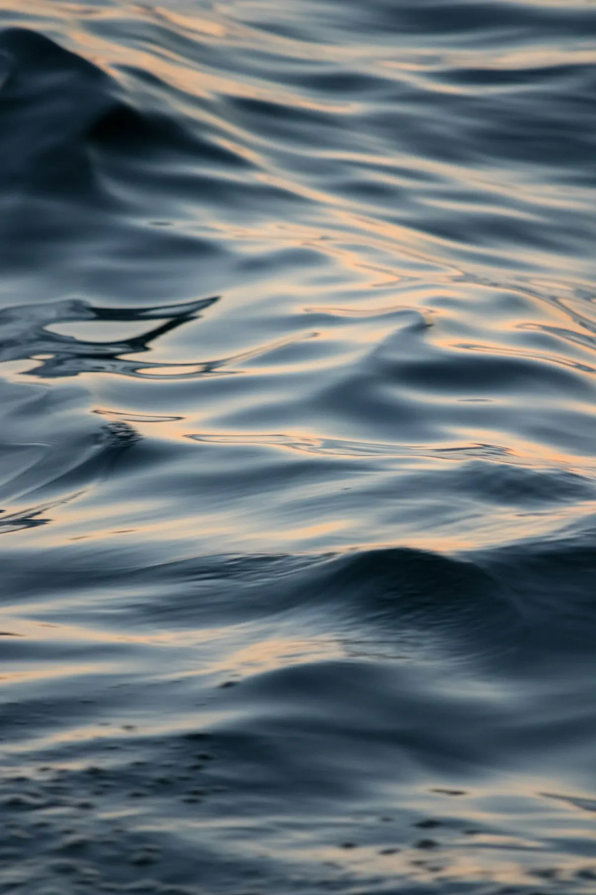 Water Temperature Explained: Why 1°C Can Make or Break Your Trip