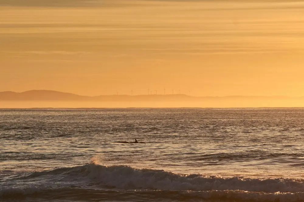 Jeffreys Bay
